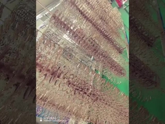 タイタン合金 眼鏡のフレーム PVDコーティングマシン