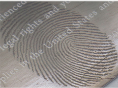 高真空金属化システム,指紋マークイメージングのための熱蒸発コーティングユニット